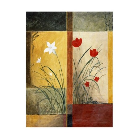 Pablo Esteban 'White And Red Flowers' Canvas Art,18x24